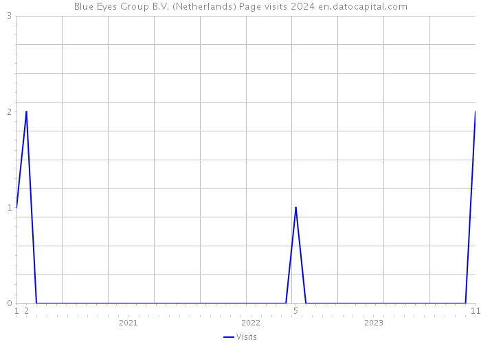 Blue Eyes Group B.V. (Netherlands) Page visits 2024 