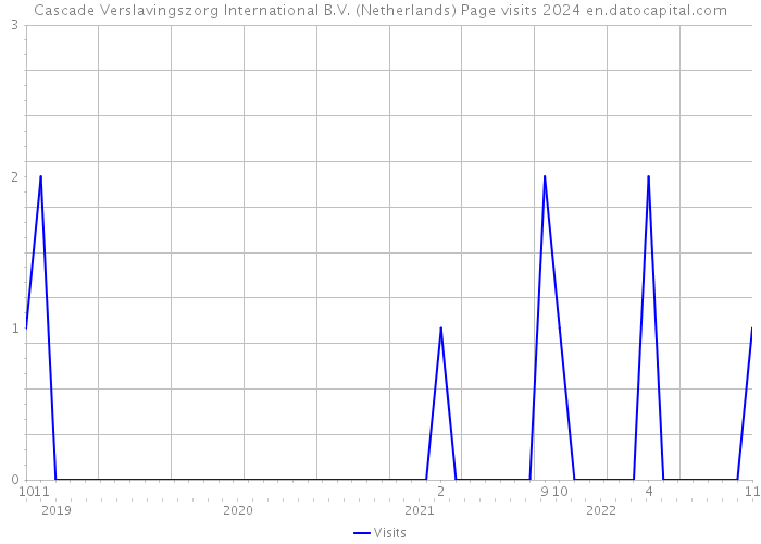 Cascade Verslavingszorg International B.V. (Netherlands) Page visits 2024 