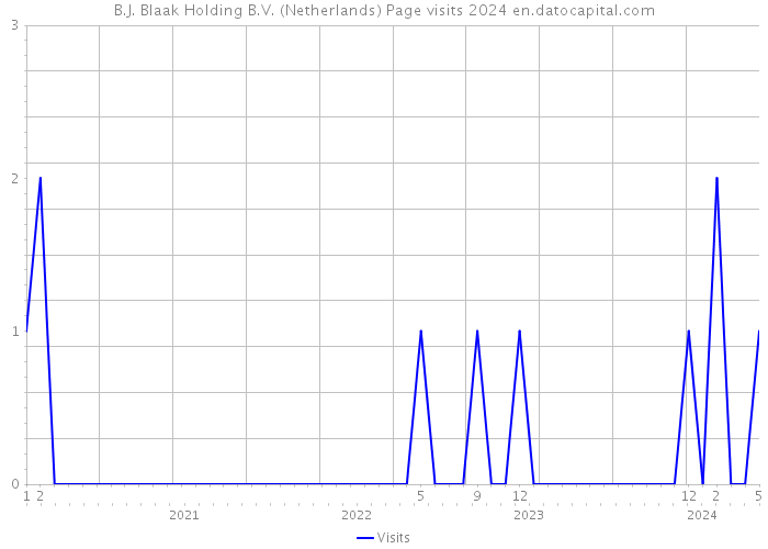 B.J. Blaak Holding B.V. (Netherlands) Page visits 2024 