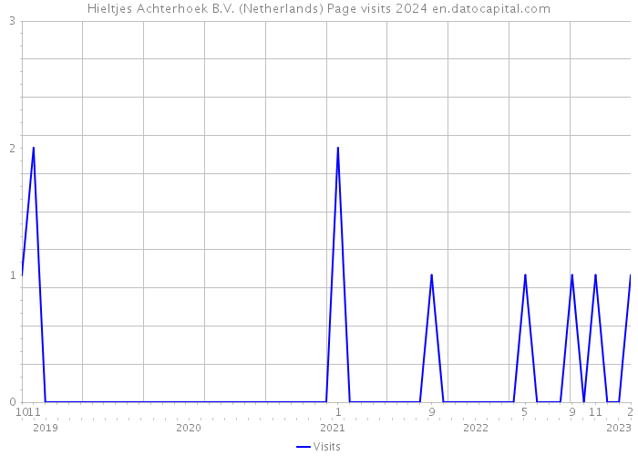 Hieltjes Achterhoek B.V. (Netherlands) Page visits 2024 