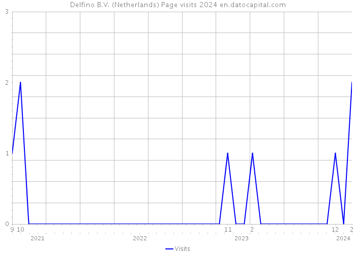 Delfino B.V. (Netherlands) Page visits 2024 