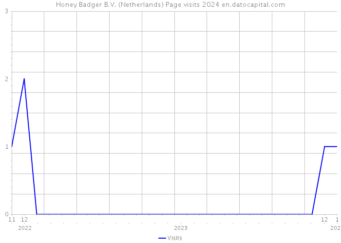 Honey Badger B.V. (Netherlands) Page visits 2024 