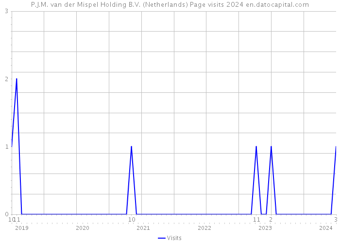 P.J.M. van der Mispel Holding B.V. (Netherlands) Page visits 2024 