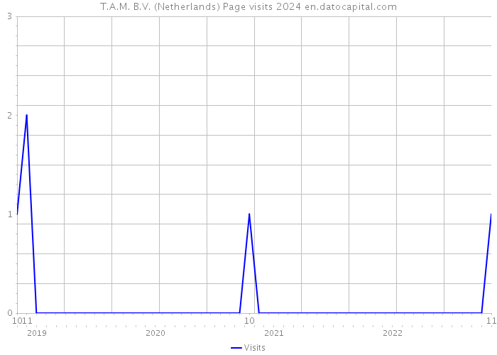 T.A.M. B.V. (Netherlands) Page visits 2024 