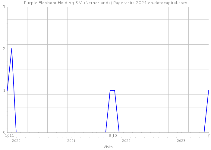 Purple Elephant Holding B.V. (Netherlands) Page visits 2024 