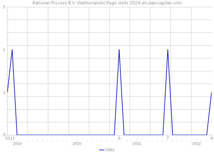 Rational Process B.V. (Netherlands) Page visits 2024 
