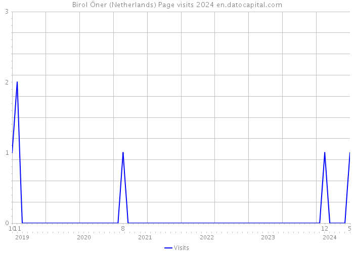 Birol Öner (Netherlands) Page visits 2024 