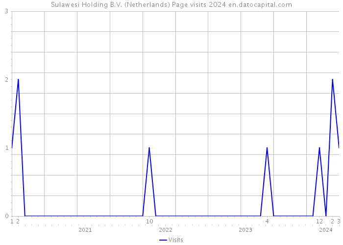 Sulawesi Holding B.V. (Netherlands) Page visits 2024 