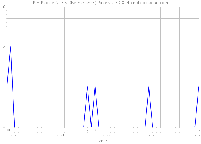 PiM People NL B.V. (Netherlands) Page visits 2024 