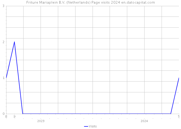 Friture Mariaplein B.V. (Netherlands) Page visits 2024 