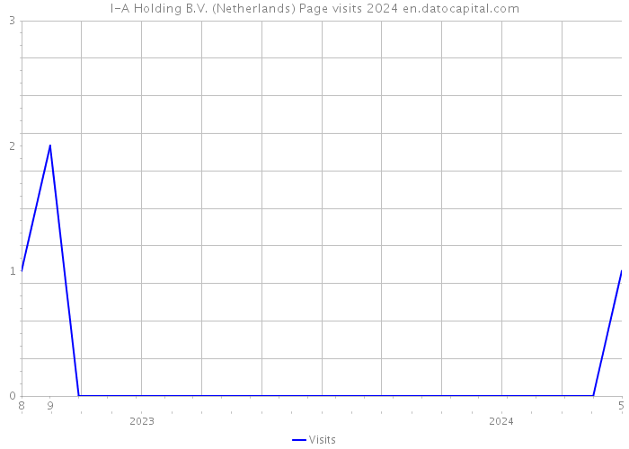 I-A Holding B.V. (Netherlands) Page visits 2024 