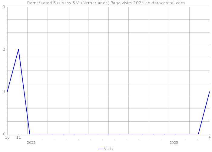 Remarketed Business B.V. (Netherlands) Page visits 2024 