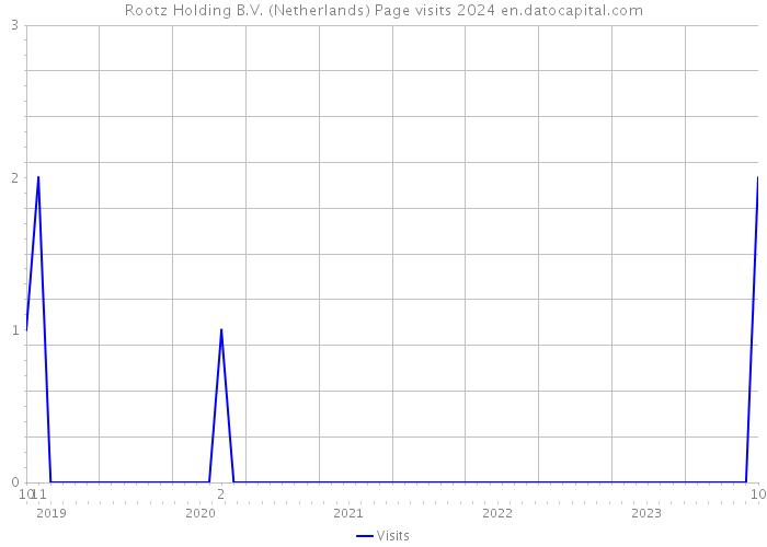 Rootz Holding B.V. (Netherlands) Page visits 2024 
