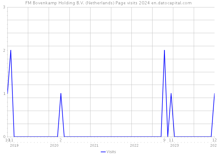 FM Bovenkamp Holding B.V. (Netherlands) Page visits 2024 