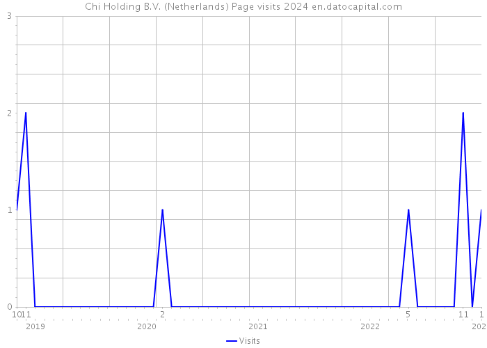Chi Holding B.V. (Netherlands) Page visits 2024 