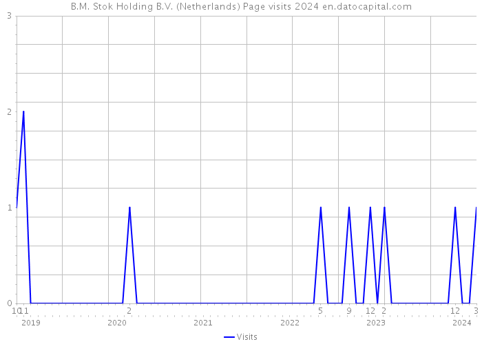 B.M. Stok Holding B.V. (Netherlands) Page visits 2024 