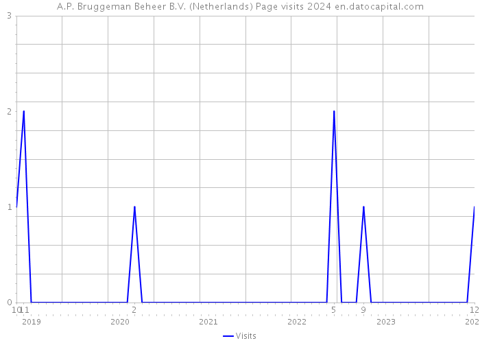 A.P. Bruggeman Beheer B.V. (Netherlands) Page visits 2024 