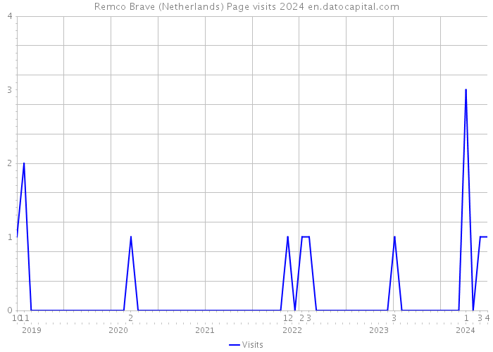 Remco Brave (Netherlands) Page visits 2024 