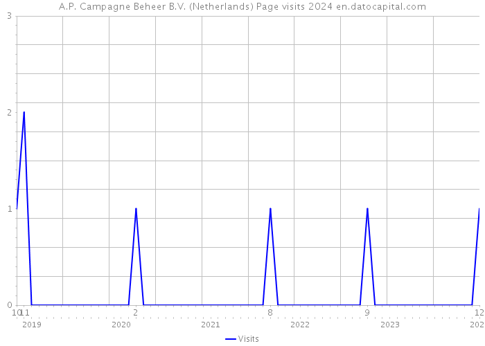 A.P. Campagne Beheer B.V. (Netherlands) Page visits 2024 