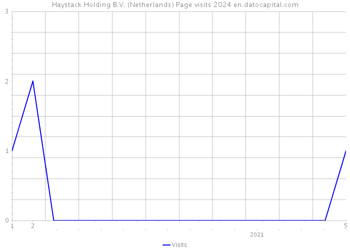 Haystack Holding B.V. (Netherlands) Page visits 2024 