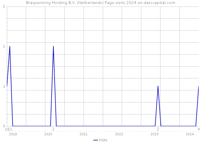 Braspenning Holding B.V. (Netherlands) Page visits 2024 