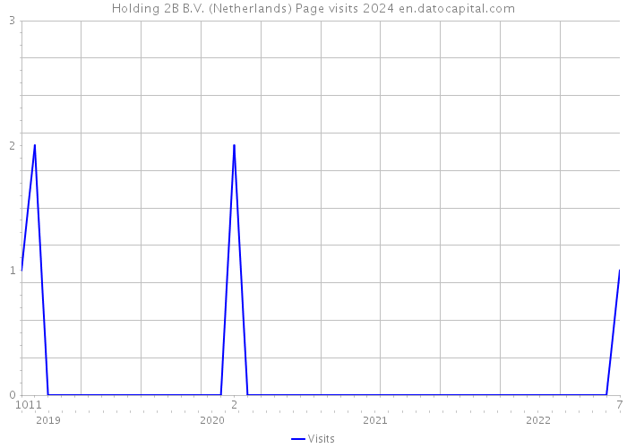 Holding 2B B.V. (Netherlands) Page visits 2024 
