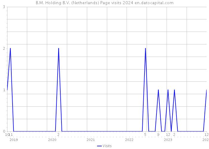 B.M. Holding B.V. (Netherlands) Page visits 2024 