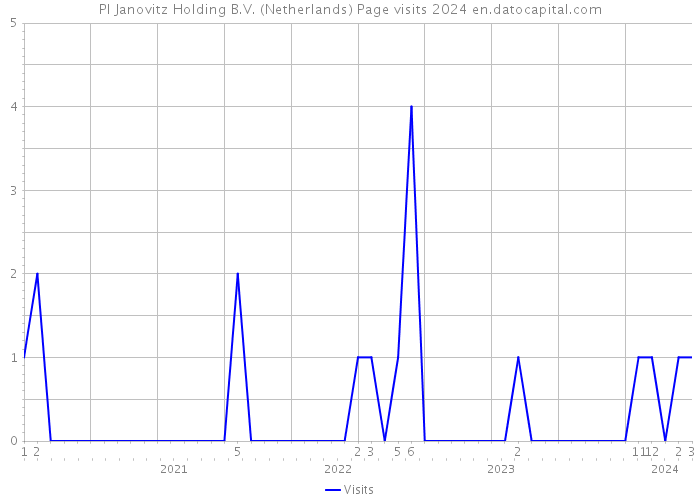 PI Janovitz Holding B.V. (Netherlands) Page visits 2024 