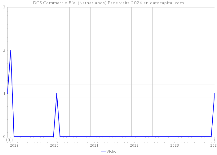 DCS Commercio B.V. (Netherlands) Page visits 2024 