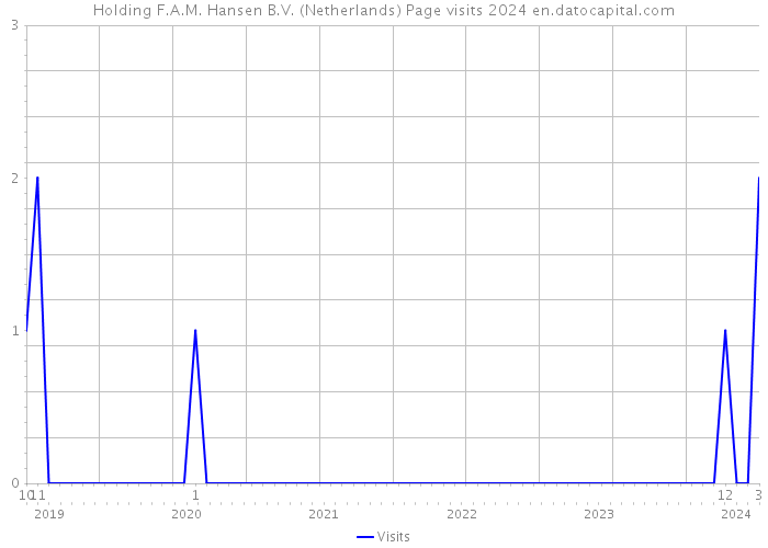 Holding F.A.M. Hansen B.V. (Netherlands) Page visits 2024 
