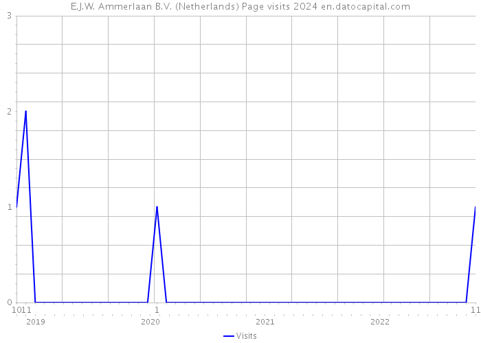 E.J.W. Ammerlaan B.V. (Netherlands) Page visits 2024 