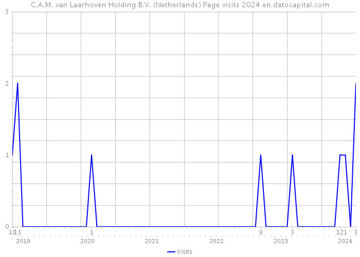 C.A.M. van Laarhoven Holding B.V. (Netherlands) Page visits 2024 