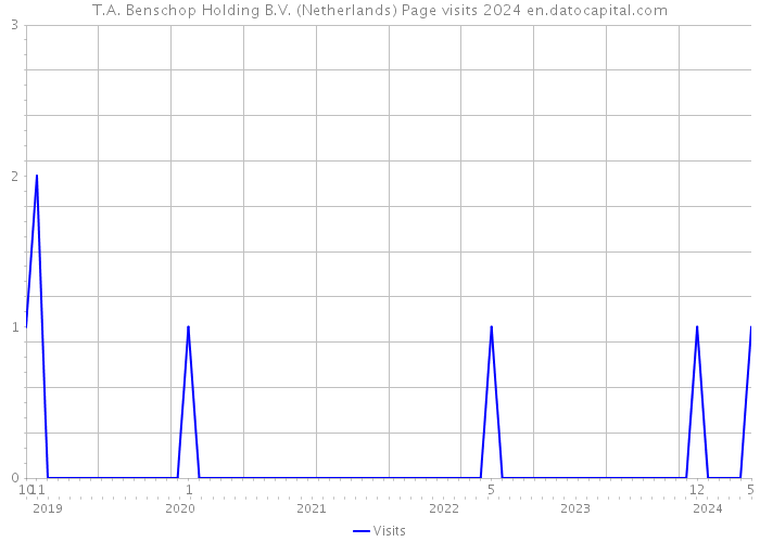 T.A. Benschop Holding B.V. (Netherlands) Page visits 2024 