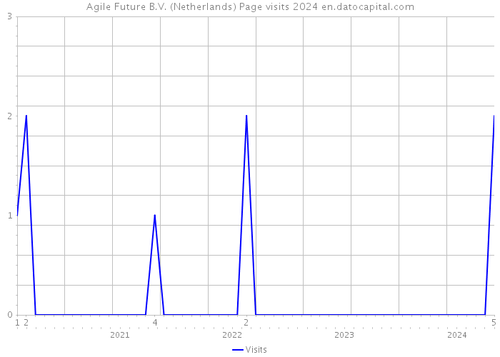 Agile Future B.V. (Netherlands) Page visits 2024 