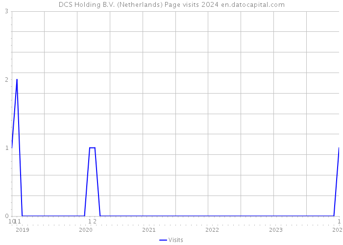 DCS Holding B.V. (Netherlands) Page visits 2024 