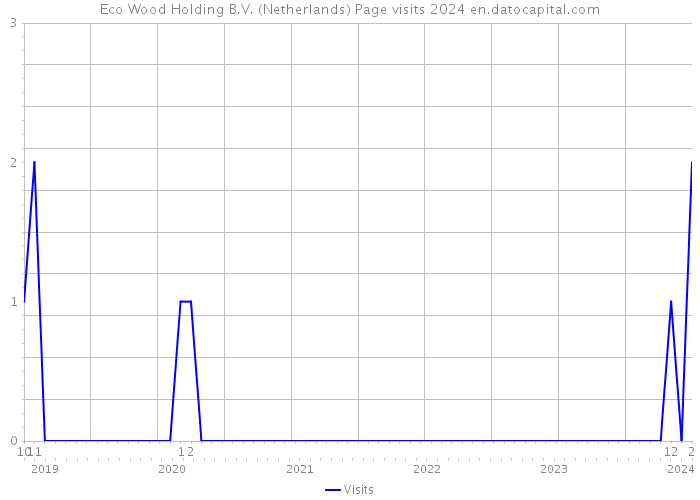 Eco Wood Holding B.V. (Netherlands) Page visits 2024 