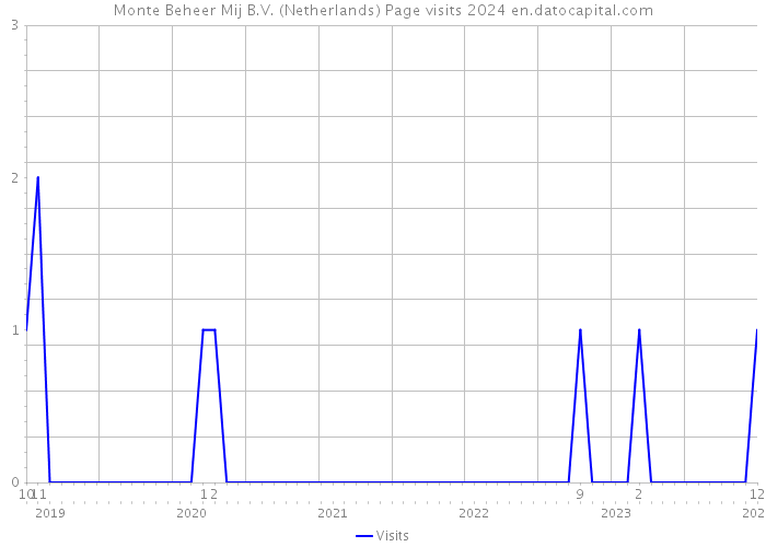Monte Beheer Mij B.V. (Netherlands) Page visits 2024 