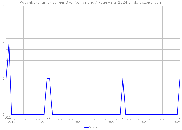 Rodenburg junior Beheer B.V. (Netherlands) Page visits 2024 