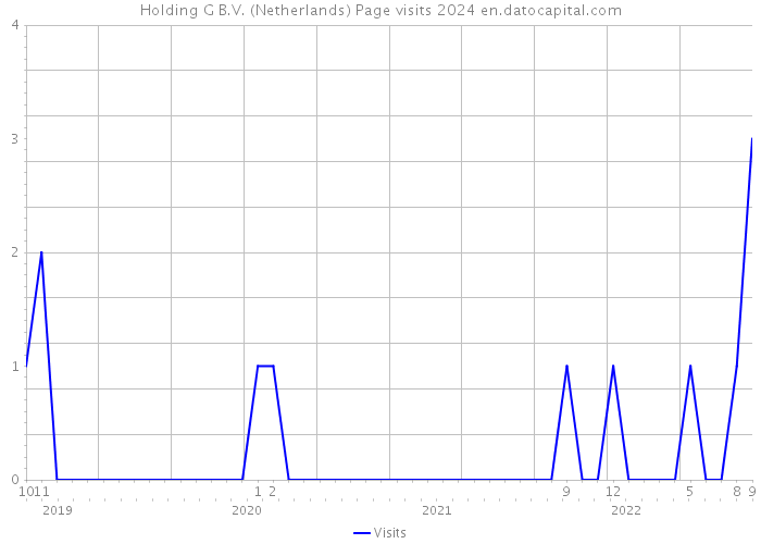 Holding G B.V. (Netherlands) Page visits 2024 