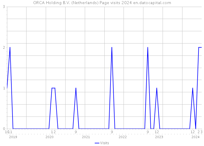 ORCA Holding B.V. (Netherlands) Page visits 2024 