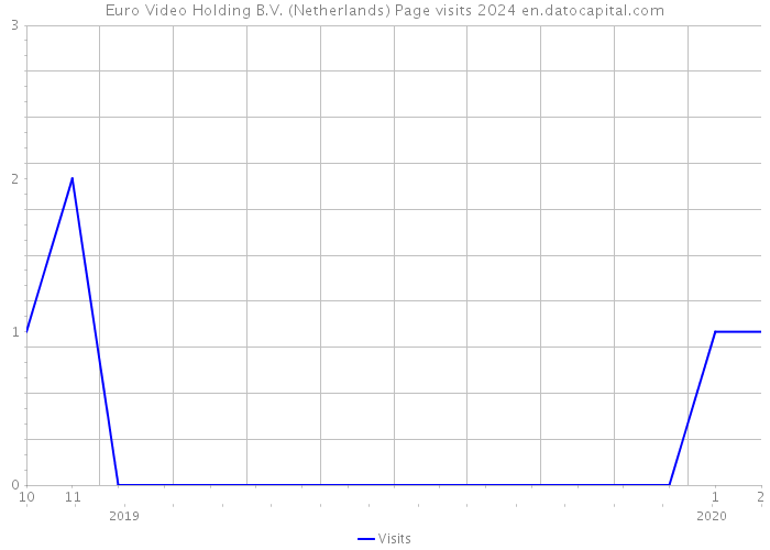 Euro Video Holding B.V. (Netherlands) Page visits 2024 