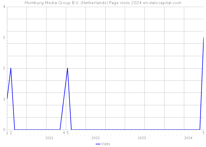 Homburg Media Group B.V. (Netherlands) Page visits 2024 