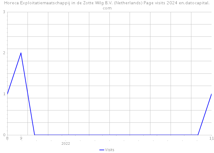 Horeca Exploitatiemaatschappij in de Zotte Wilg B.V. (Netherlands) Page visits 2024 