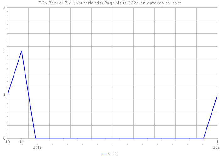 TCV Beheer B.V. (Netherlands) Page visits 2024 