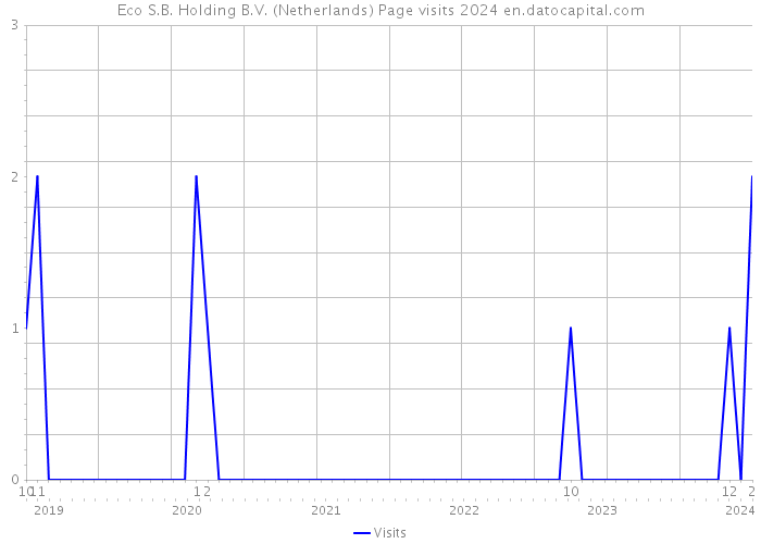 Eco S.B. Holding B.V. (Netherlands) Page visits 2024 