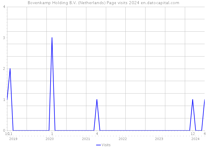 Bovenkamp Holding B.V. (Netherlands) Page visits 2024 