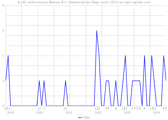 A.J.M. Anthonissen Beheer B.V. (Netherlands) Page visits 2024 