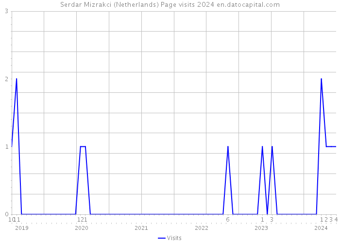 Serdar Mizrakci (Netherlands) Page visits 2024 