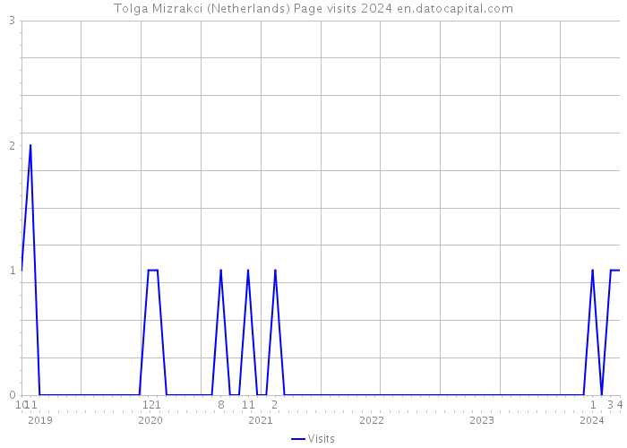 Tolga Mizrakci (Netherlands) Page visits 2024 