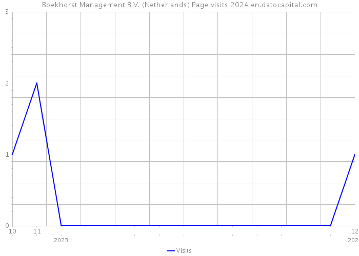 Boekhorst Management B.V. (Netherlands) Page visits 2024 